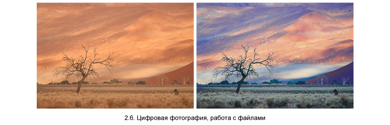 Цифровая фотография, работа с файлами
